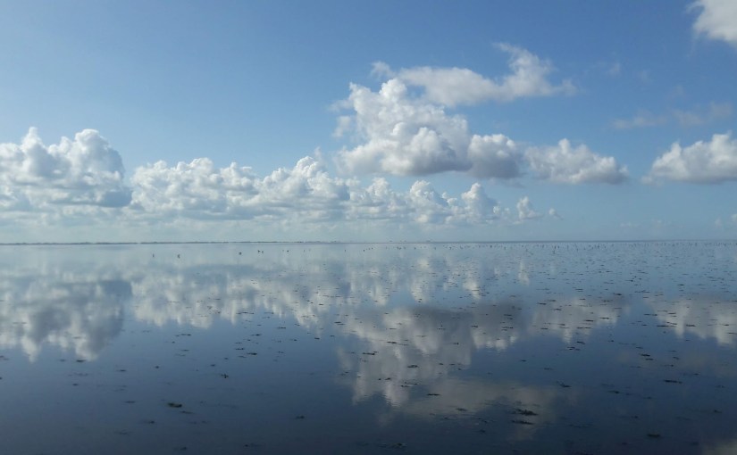 Ameland Datapalooza!