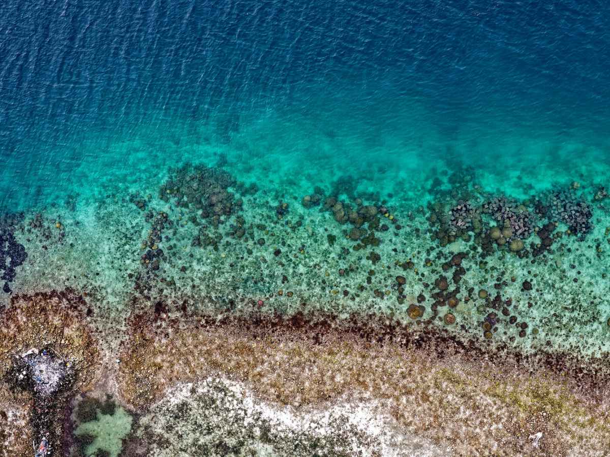 Super Speedy Reef&nbsp;Modelling