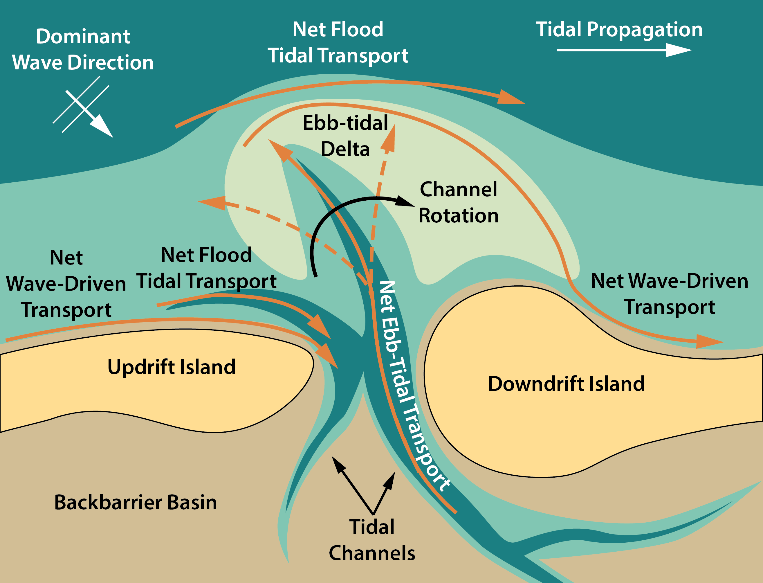 Sediment Pathways on Ebb-Tidal Deltas – Coastally Curious