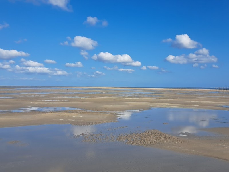 Writing a Killer Conference&nbsp;Abstract