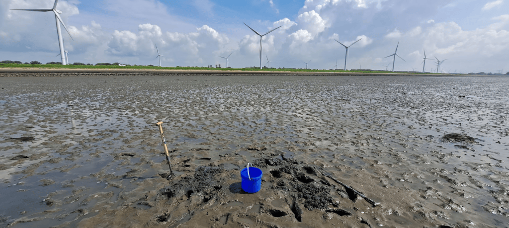 Mudflat with windmills.